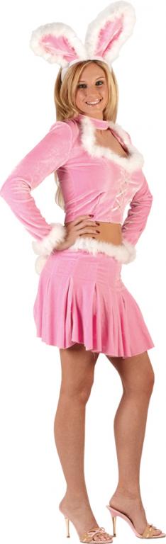 Bunny Hop Sexy Adult Costume - Click Image to Close