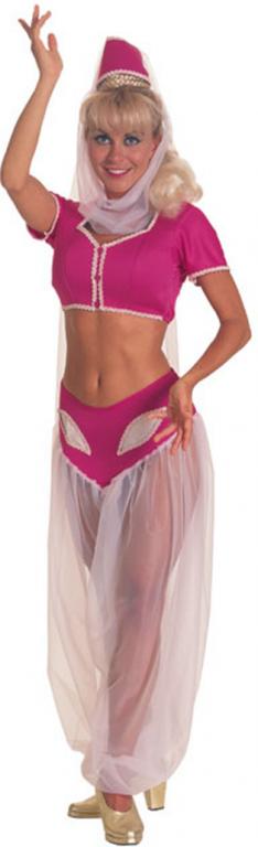 I Dream of Jeannie Costume - Click Image to Close