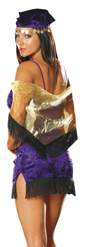 Enchanting Fortune Teller Adult Costume - Click Image to Close