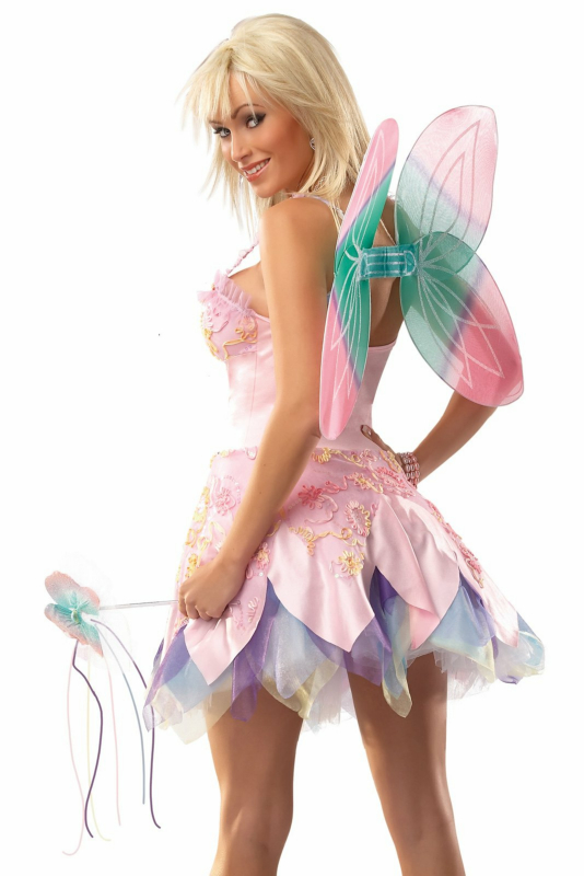 Fairy Adult Costume - Click Image to Close