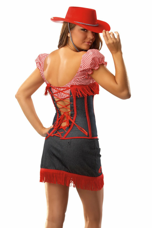 Cow Girl 2 Adult Costume - Click Image to Close