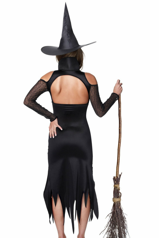 Witch Adult Costume - Click Image to Close