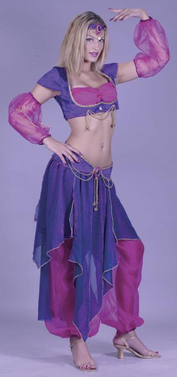 Belly Dancer Adult Costume - Click Image to Close