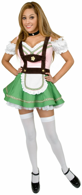 Bavarian Beer Garden Girl Adult Plus Costume - Click Image to Close