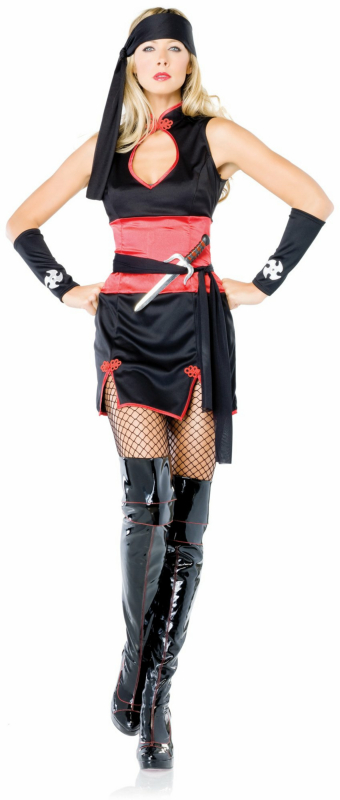 Ninja Master Adult Costume - Click Image to Close