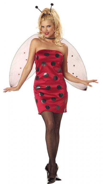 Lady Bug - Click Image to Close