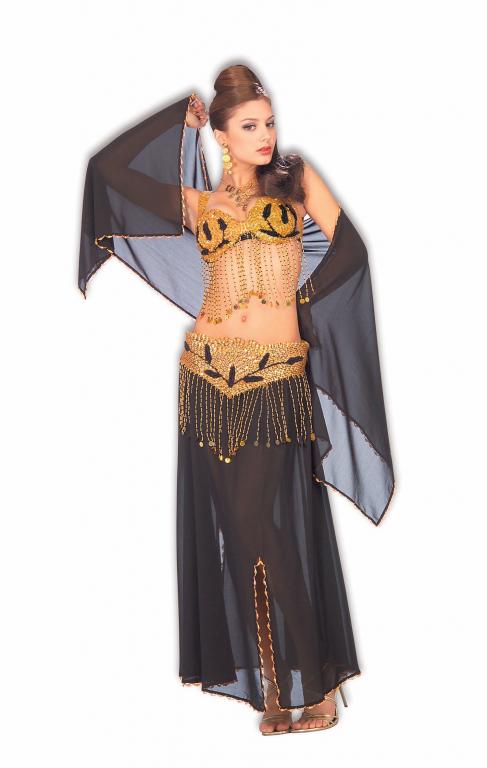 Deluxe Black Harem Dancer Adult Costume - Click Image to Close