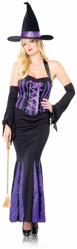 Bewitching Beauty Adult Costume - Click Image to Close