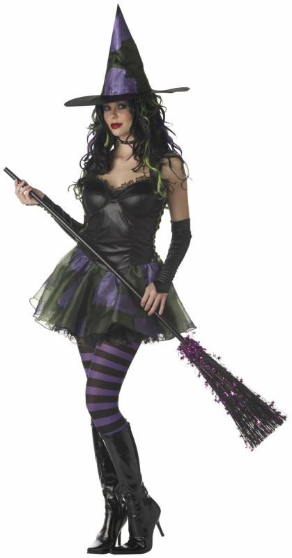 Wicked Witch of the West Adult Costume - Click Image to Close