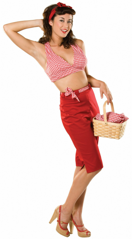 Picnic Pennie Adult Costume - Click Image to Close