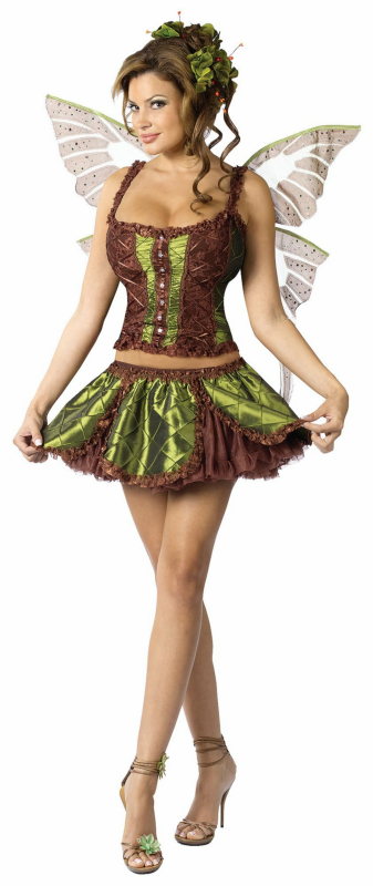 Enchanting Fairy Adult Costume - Click Image to Close