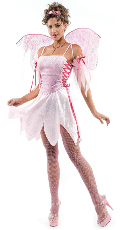 Blush Fairy Adult Costume - Click Image to Close