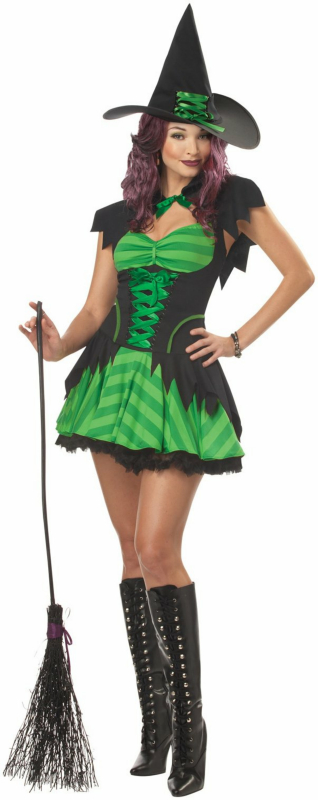 Hocus Pocus Adult Costume - Click Image to Close