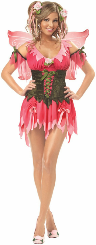 Rose Fairy Adult Plus Costume