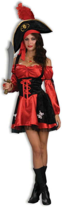 Racy Pirate Lady Adult Costume - Click Image to Close