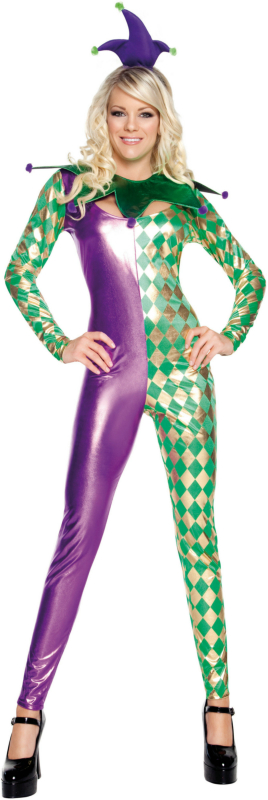 Mardi Gras Harlequin Catsuit Adult Costume