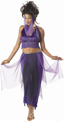 Belly Dancer Costume - Click Image to Close