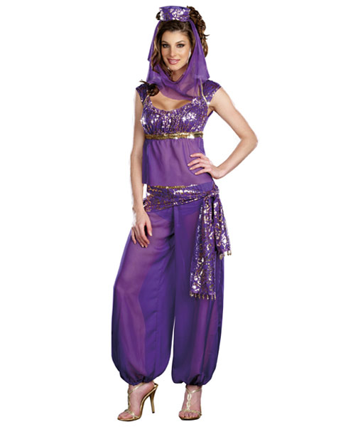 Sexy Ally Kazaam Women's Genie Costume - Click Image to Close