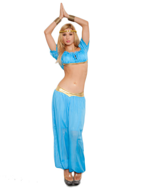 Womens Sweet Genie Sexy Costume
