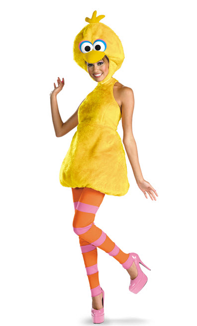 Big Bird Costume