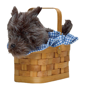 Toto Handbag Basket - Click Image to Close