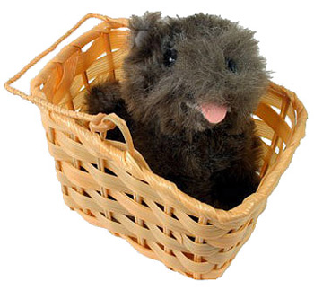 Toto with Basket