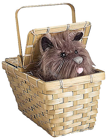 Deluxe Toto with Basket