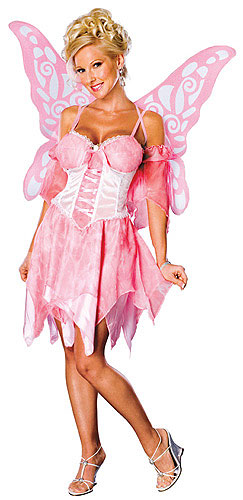 Adult Fairy Costume - Click Image to Close