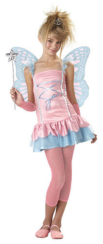 Child Fairy Princess Costume