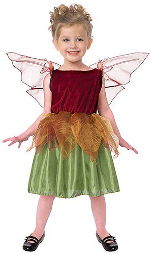 Girl's Fairy Costume