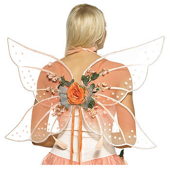 Fairy Princess Wings