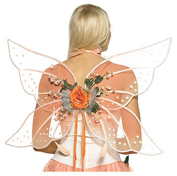 Fairy Princess Wings - Click Image to Close