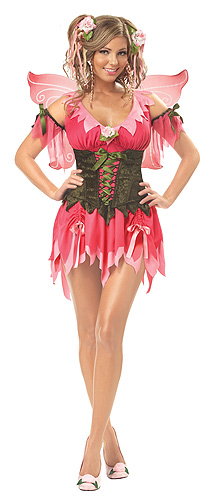 Adult Rose Fairy Costume - Click Image to Close