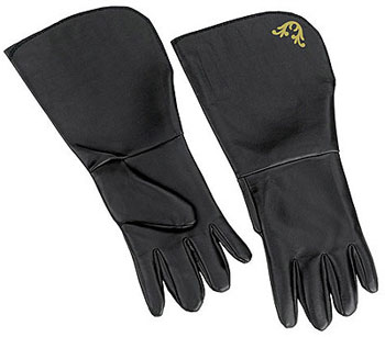 Kids Zorro Gloves - Click Image to Close