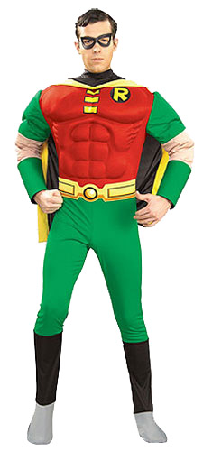 Adult Robin Costume