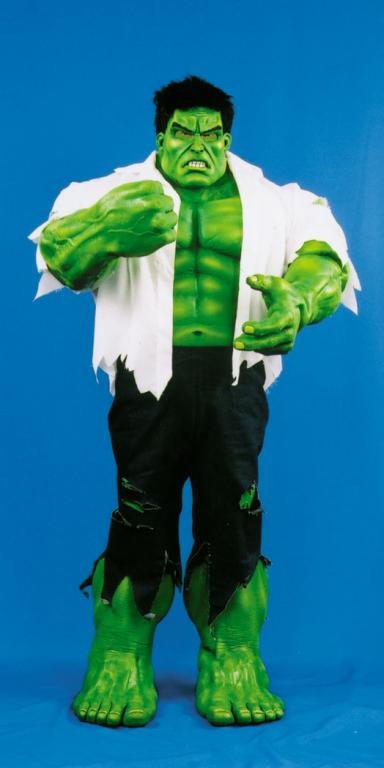 Incredible Hulk Costume