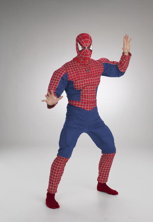 Spiderman Costume - Click Image to Close