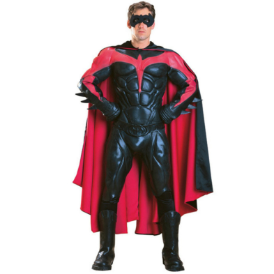 Collectors Robin Adult Costume - Click Image to Close