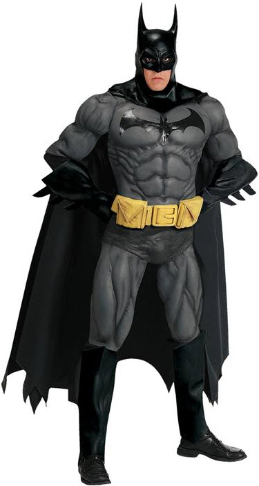 Batman Collector Costume - Click Image to Close