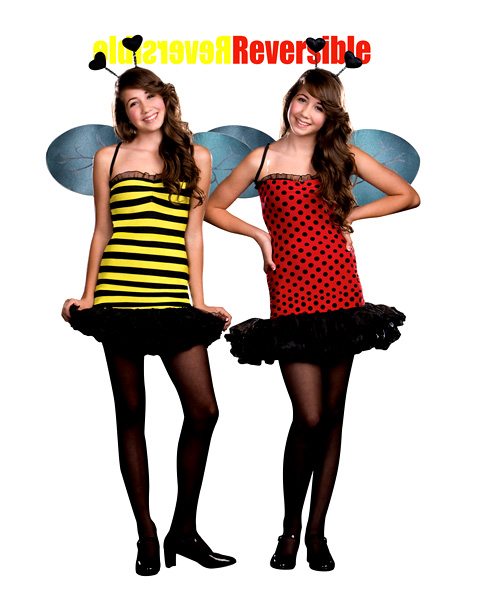 Teen Buggin Out Bee And Ladybug Costume