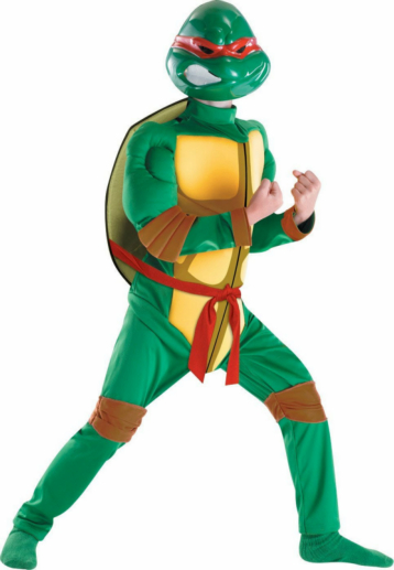 TMNT Raphael Classic Muscle Child Costume - Click Image to Close