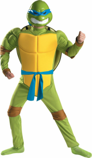 TMNT Leonardo Classic Muscle Child Costume - Click Image to Close