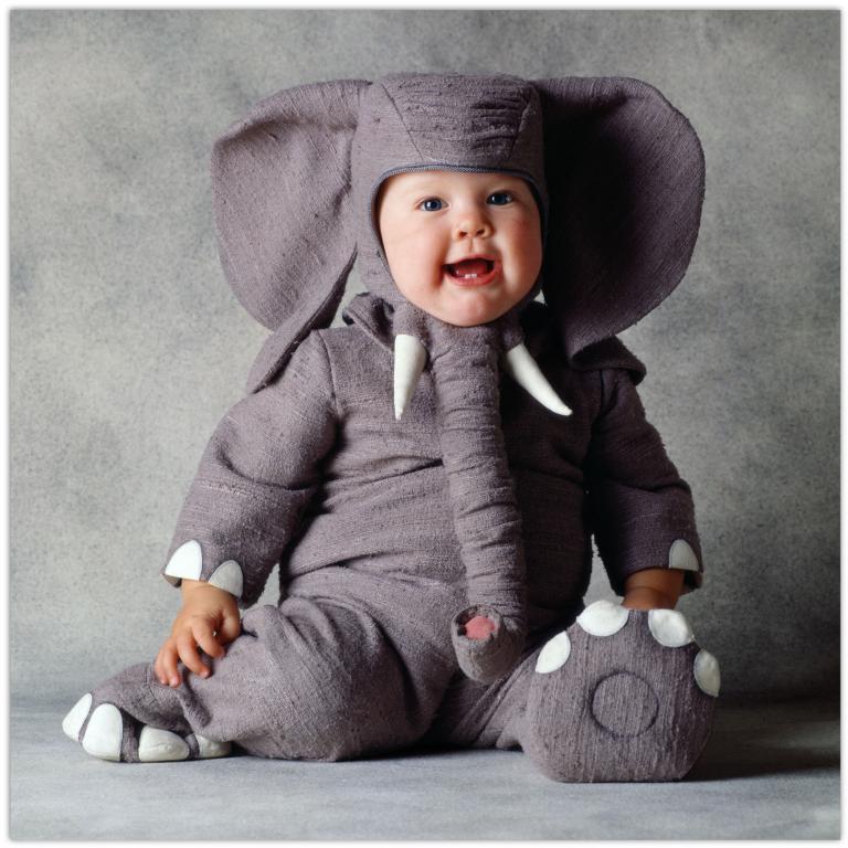 Tom Arma Elephant - Click Image to Close