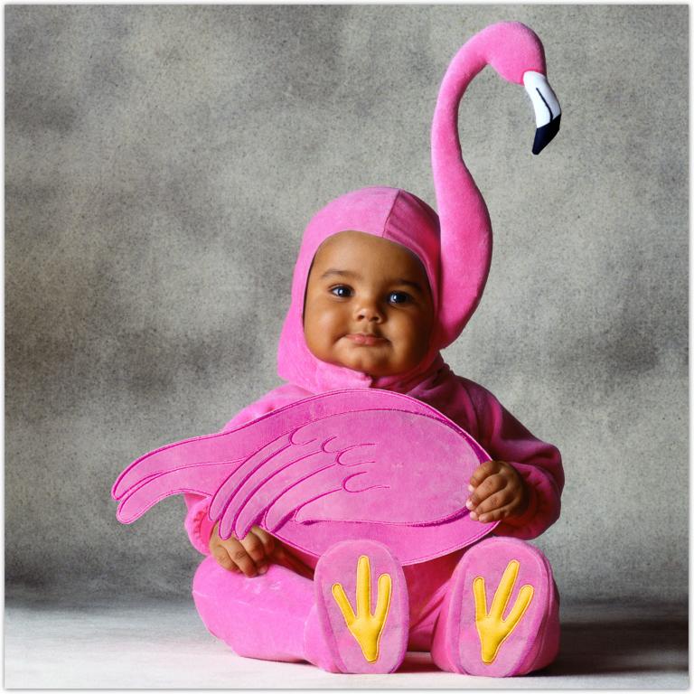 Tom Arma Flamingo