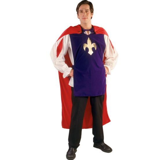 Prince Charming Adult Costume