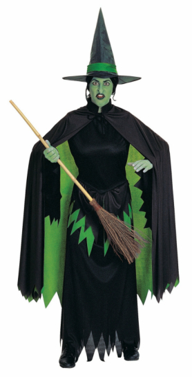 The Wizard of Oz Wicked Witch Adult Costume - Click Image to Close