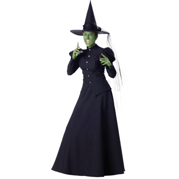 Witch Elite Collection Adult Costume - Click Image to Close