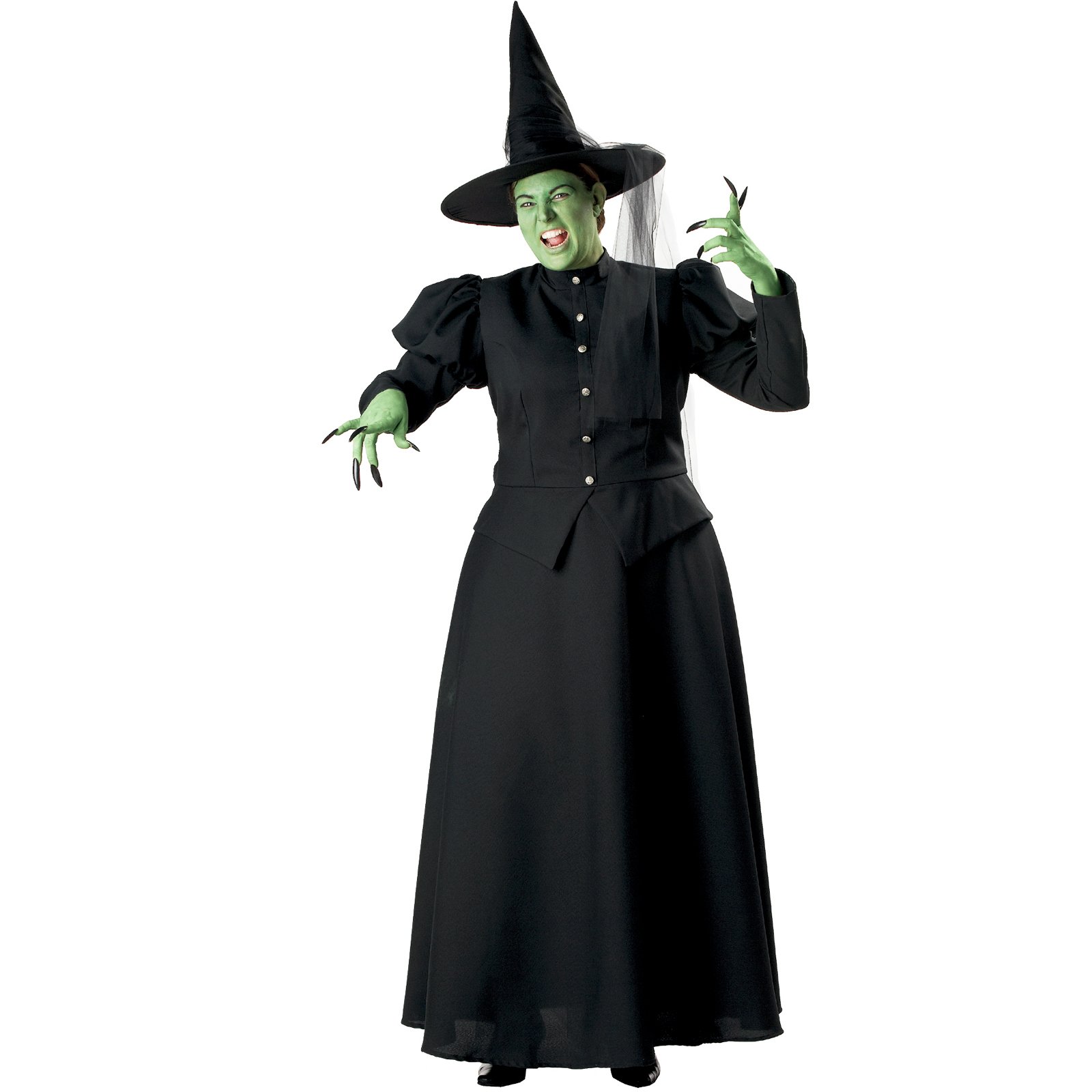 Wicked Witch Plus Elite Collection Adult - Click Image to Close