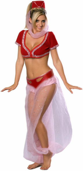 I Dream of Jeannie Costume - Click Image to Close