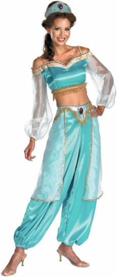 Aladdin Jasmine Prestige Adult Costume